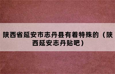 陕西省延安市志丹县有着特殊的（陕西延安志丹贴吧）