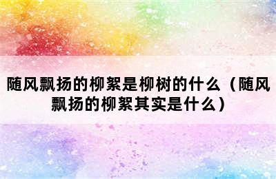 随风飘扬的柳絮是柳树的什么（随风飘扬的柳絮其实是什么）