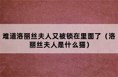 难道洛丽丝夫人又被锁在里面了（洛丽丝夫人是什么猫）