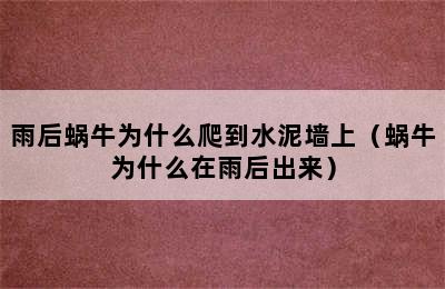 雨后蜗牛为什么爬到水泥墙上（蜗牛为什么在雨后出来）