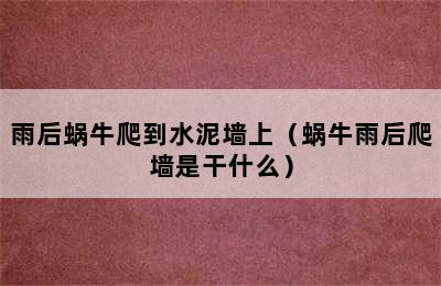 雨后蜗牛爬到水泥墙上（蜗牛雨后爬墙是干什么）