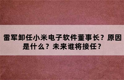 雷军卸任小米电子软件董事长？原因是什么？未来谁将接任？