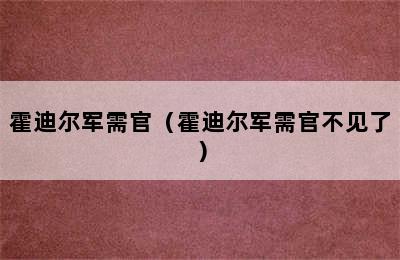 霍迪尔军需官（霍迪尔军需官不见了）