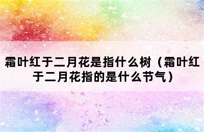 霜叶红于二月花是指什么树（霜叶红于二月花指的是什么节气）