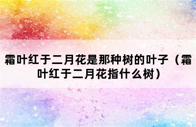 霜叶红于二月花是那种树的叶子（霜叶红于二月花指什么树）