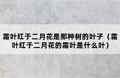 霜叶红于二月花是那种树的叶子（霜叶红于二月花的霜叶是什么叶）