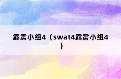 霹雳小组4（swat4霹雳小组4）