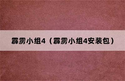 霹雳小组4（霹雳小组4安装包）