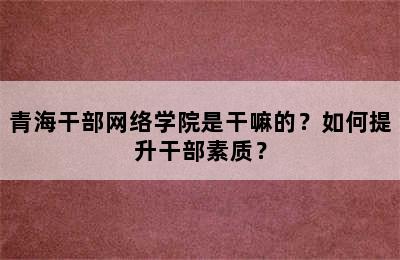 青海干部网络学院是干嘛的？如何提升干部素质？