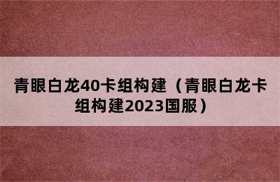 青眼白龙40卡组构建（青眼白龙卡组构建2023国服）