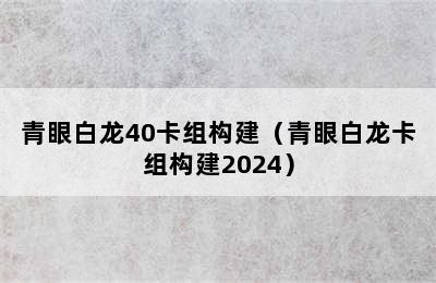 青眼白龙40卡组构建（青眼白龙卡组构建2024）