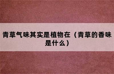 青草气味其实是植物在（青草的香味是什么）