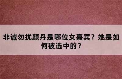 非诚勿扰颜丹是哪位女嘉宾？她是如何被选中的？