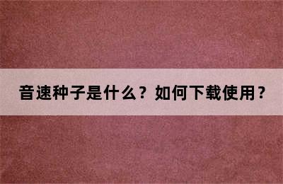 音速种子是什么？如何下载使用？