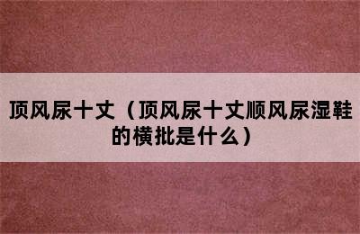 顶风尿十丈（顶风尿十丈顺风尿湿鞋的横批是什么）