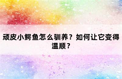顽皮小鳄鱼怎么驯养？如何让它变得温顺？