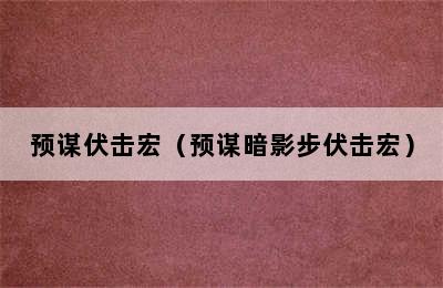 预谋伏击宏（预谋暗影步伏击宏）