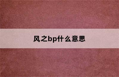 风之bp什么意思