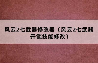 风云2七武器修改器（风云2七武器开锁技能修改）