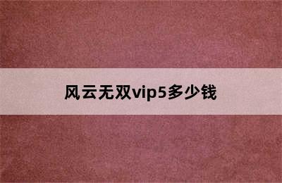 风云无双vip5多少钱