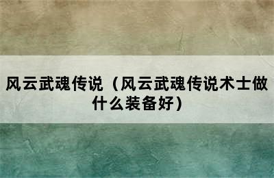 风云武魂传说（风云武魂传说术士做什么装备好）