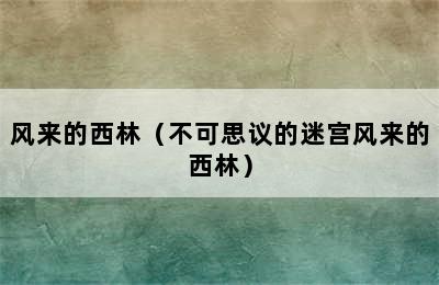 风来的西林（不可思议的迷宫风来的西林）