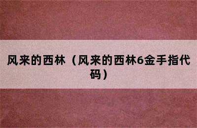 风来的西林（风来的西林6金手指代码）