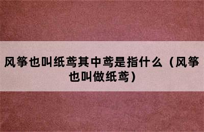 风筝也叫纸鸢其中鸢是指什么（风筝也叫做纸鸢）