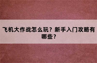 飞机大作战怎么玩？新手入门攻略有哪些？