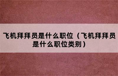 飞机拜拜员是什么职位（飞机拜拜员是什么职位类别）