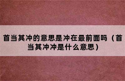 首当其冲的意思是冲在最前面吗（首当其冲冲是什么意思）