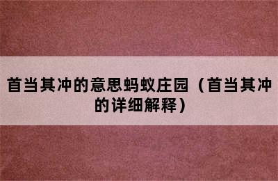 首当其冲的意思蚂蚁庄园（首当其冲的详细解释）