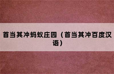 首当其冲蚂蚁庄园（首当其冲百度汉语）