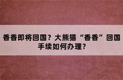 香香即将回国？大熊猫“香香”回国手续如何办理？