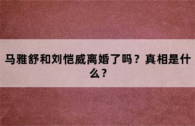 马雅舒和刘恺威离婚了吗？真相是什么？