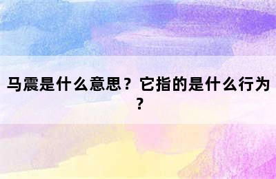 马震是什么意思？它指的是什么行为？