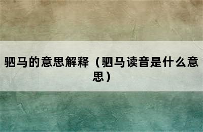 驷马的意思解释（驷马读音是什么意思）