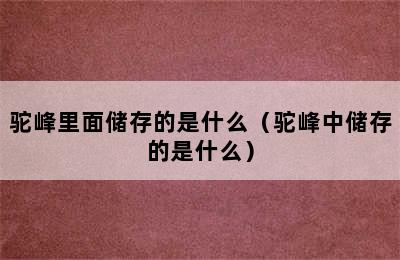 驼峰里面储存的是什么（驼峰中储存的是什么）