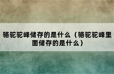 骆驼驼峰储存的是什么（骆驼驼峰里面储存的是什么）