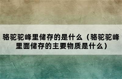 骆驼驼峰里储存的是什么（骆驼驼峰里面储存的主要物质是什么）