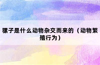 骡子是什么动物杂交而来的（动物繁殖行为）