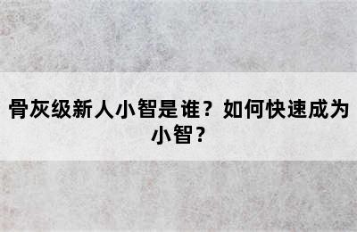 骨灰级新人小智是谁？如何快速成为小智？