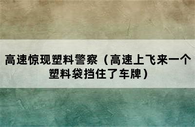 高速惊现塑料警察（高速上飞来一个塑料袋挡住了车牌）