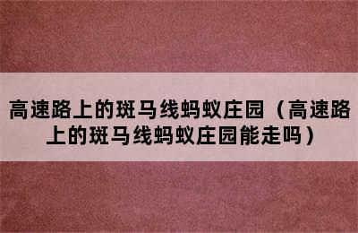 高速路上的斑马线蚂蚁庄园（高速路上的斑马线蚂蚁庄园能走吗）