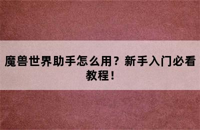 魔兽世界助手怎么用？新手入门必看教程！