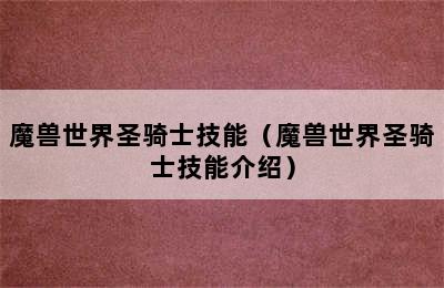 魔兽世界圣骑士技能（魔兽世界圣骑士技能介绍）