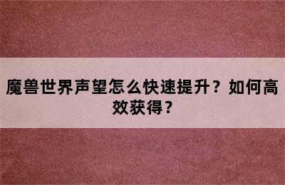 魔兽世界声望怎么快速提升？如何高效获得？