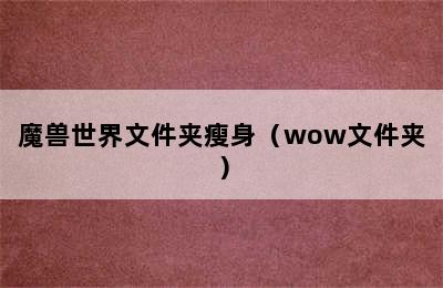 魔兽世界文件夹瘦身（wow文件夹）