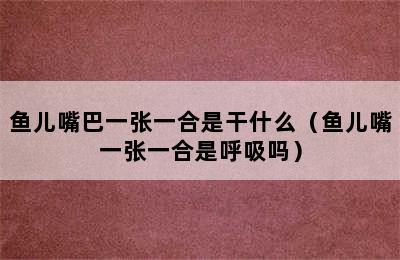 鱼儿嘴巴一张一合是干什么（鱼儿嘴一张一合是呼吸吗）