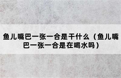 鱼儿嘴巴一张一合是干什么（鱼儿嘴巴一张一合是在喝水吗）